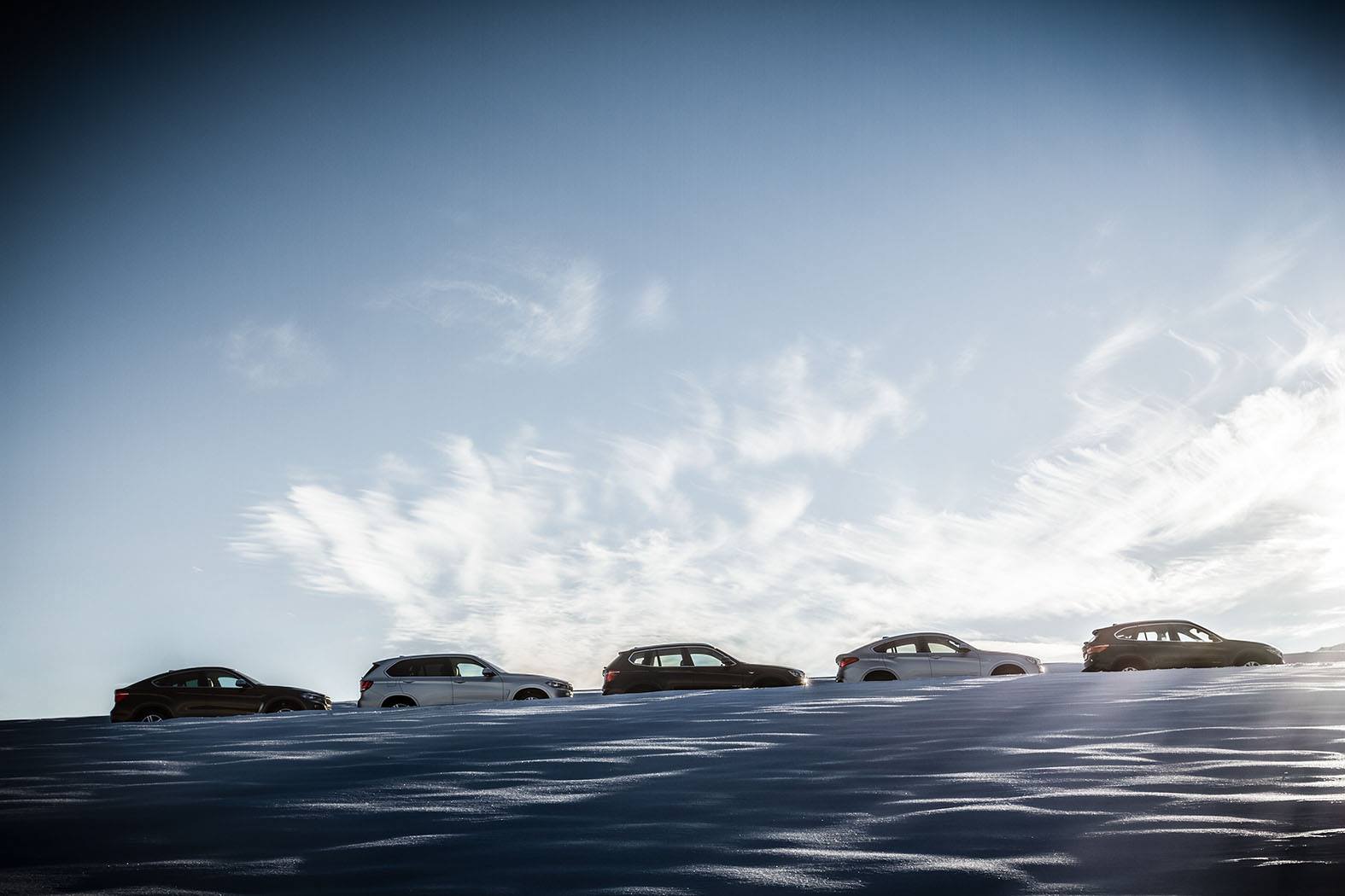 12671818_1006951832674810_3633870236173938271_o